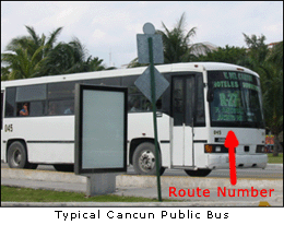 Cancun Public Bus